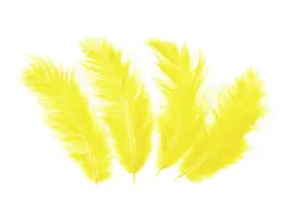 piorka-dekoracyjne-zolte-dlugie-50-szt