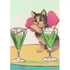 karnet-b6-z-koperta-kot-i-drinki-madame-treacle