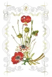 karnet-12x18-b-bd-502-063-koperta-lilie-davinci