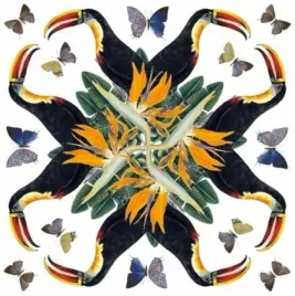 karnet-kwadrat-z-koperta-white-throated-toucan-museums-and-galleries
