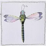 karnet-s519-wazka