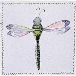 karnet-s519-wazka