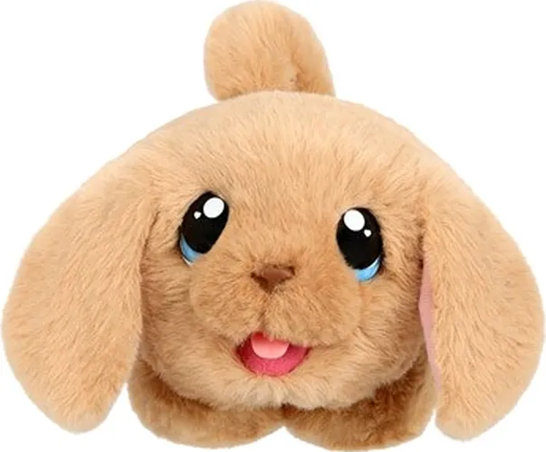 karnet-b6-kucyki-stan-nowy
