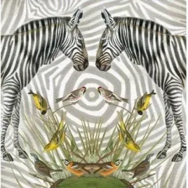 karnet-kwadrat-z-koperta-zebra