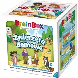 brainbox-zwierzeta-domowe-rebel