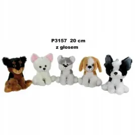 pies-z-glosem-20cm-mix