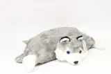 poduszka-pies-husky-22x27cm-material-plastik-tkanina