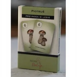 karty-piotrus-przyroda-w-lesie
