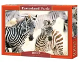 puzzle-1000-young-zebras-castor