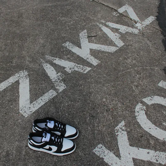 Nike Dunk