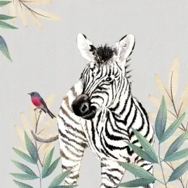 karnet-swarovski-kwadrat-cl4711-zebra