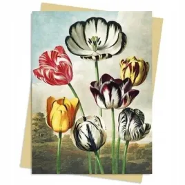 karnet-b6-tulipany-temple-of-flora