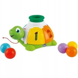 sorter-zolwik