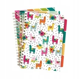project-book-colour-wash-b5-100k-linia-mix-3szt