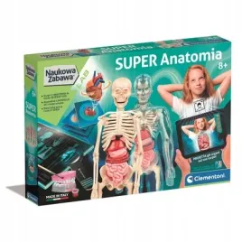 naukowa-zabawa-super-anatomia