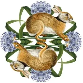 karnet-kwadrat-z-koperta-european-brown-hare