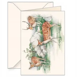 karnet-b6-koperta-6106-jelonki-tassotti