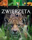 zwierzeta