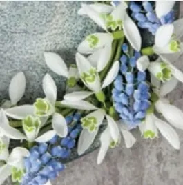 serwetka-lunch-snowdrops-and-grape-hyacinths-wreath-on-concrete-sdwi006401