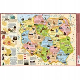 podkladka-3w-mapa-polski-regiony-demart