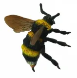 trzmiel-collecta
