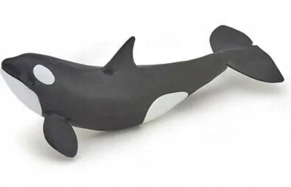 orka-mloda-papo