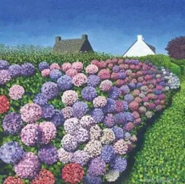 karnet-z-koperta-hortensje-w-vannes-susan-entwistle