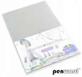 tektura-a4-falista-matowa-srebrna-5szt-penword