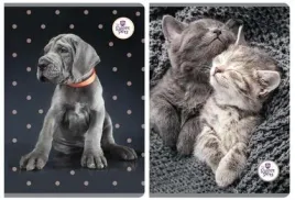 zeszyt-a5-60k-linia-the-sweet-pets-5szt-beniami