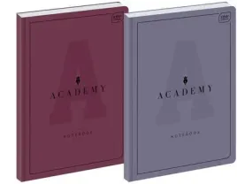 brulion-a4-96k-kratka-academy-5szt-interdruk