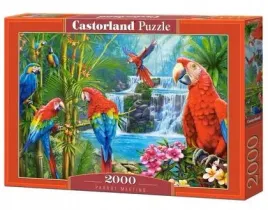 puzzle-2000-parrot-meeting-castor-castorland