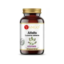 alfalfa-lucerna-siewna
