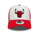 940-af-trucker-nba-team-clear-black-chibul-marka-new-era