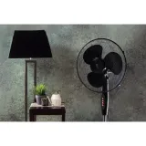 black-rose-marka-berlinger-haus