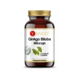 ginkgo-biloba