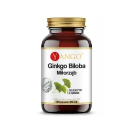ginkgo-biloba