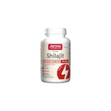 shilajit-fulvic-acid-complex
