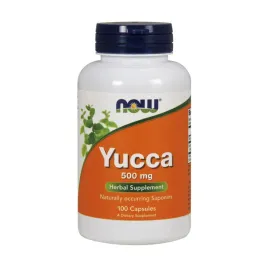 yucca