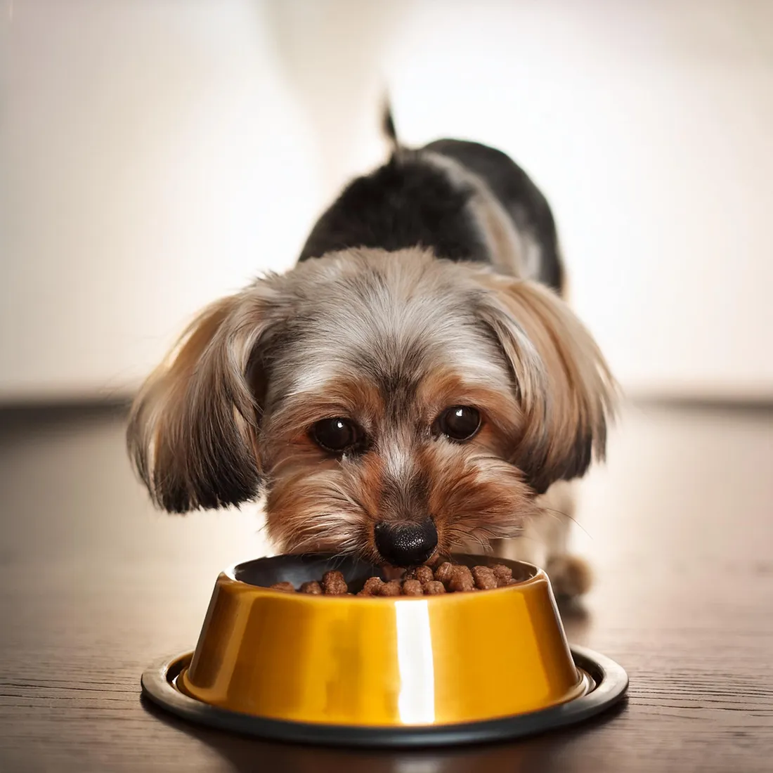 pro-plan-veterinary-diets-ha-hypoallergenic-mousse-195g-marka-pro-plan
