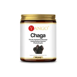 chaga