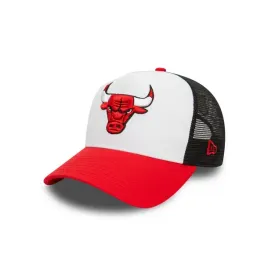 940-af-trucker-nba-chicago-bulls