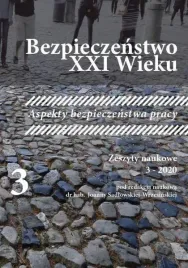 bezpieczenstwo-xxi-wieku-t-3