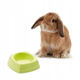 savic-rodent-bowl-miska-dla-gryzonia-12x12x45cm