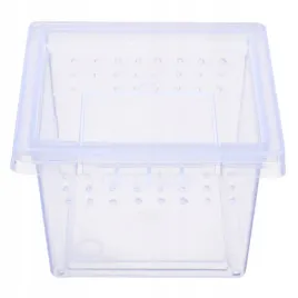 terrario-insect-box-mini-terrarium-dla-owadow-65-x-65-x-45-cm