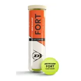 fort-clay-court
