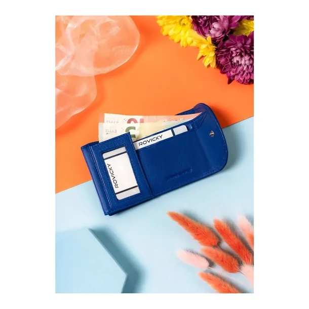 r-17-lfn-marka-rovicky-kod-producenta-r17lfn77142