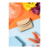 r-17-lfn-kod-producenta-r17lfn77156