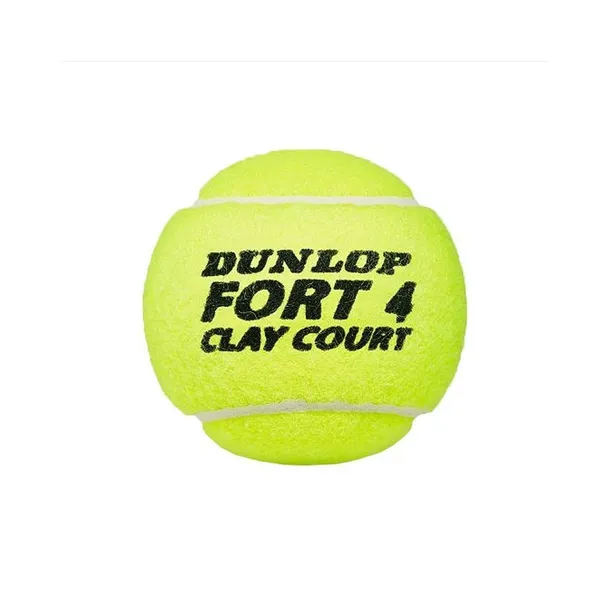 fort-clay-court