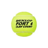 fort-clay-court
