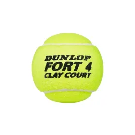 fort-clay-court
